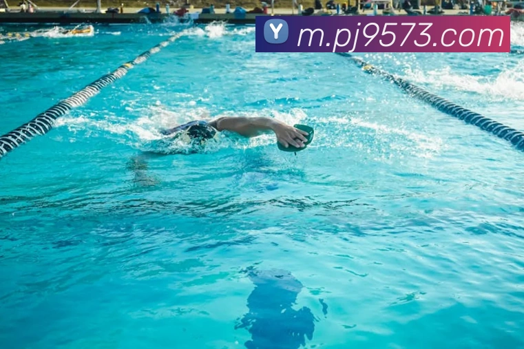 k8凯发天生赢家官网平台生态图